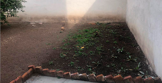 foto de Ezequiel Guerrero