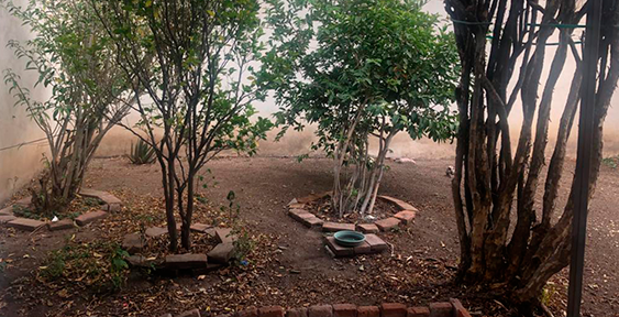 foto de Ezequiel Guerrero